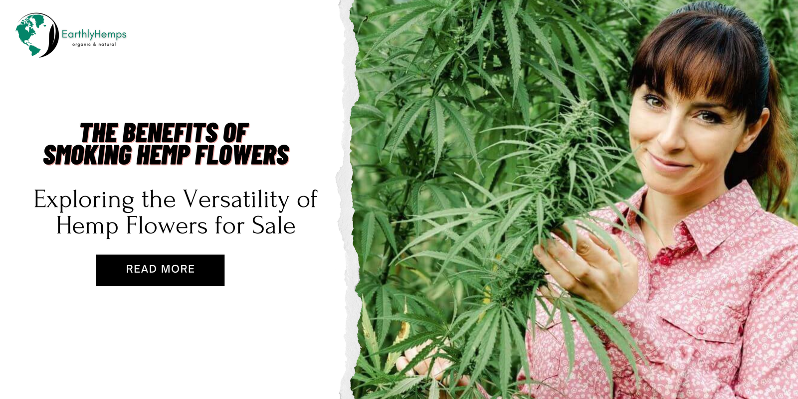 You are currently viewing The Benefits of Smoking Hemp Flowers: Exploring the Versatility of Hemp Flowers for Sale