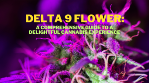 Read more about the article Delta 9 Flower: A Comprehensive Guide to a Delightful Hemp Experience