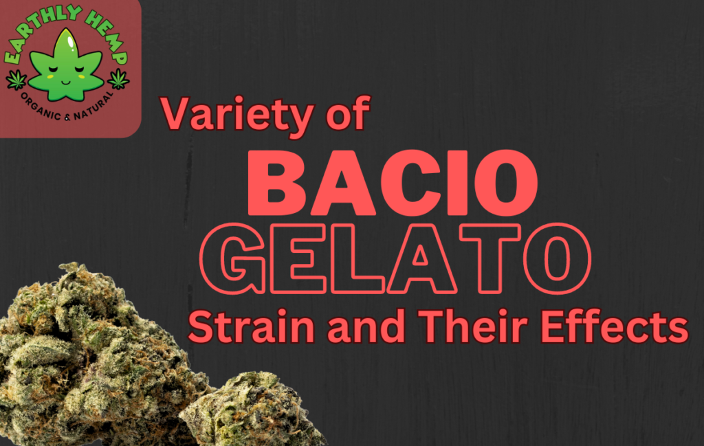 Variety of Bacio Gelato Strain and Their Effects