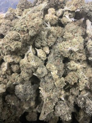 mk ultra strain