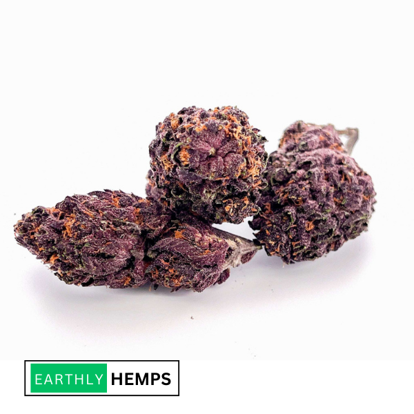 Tropical Cookies Strain