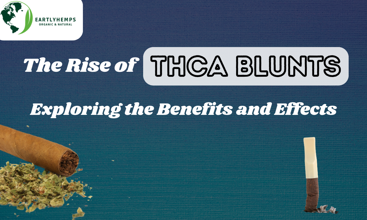 You are currently viewing The Rise of THCA Blunts: Exploring the Benefits and Effects