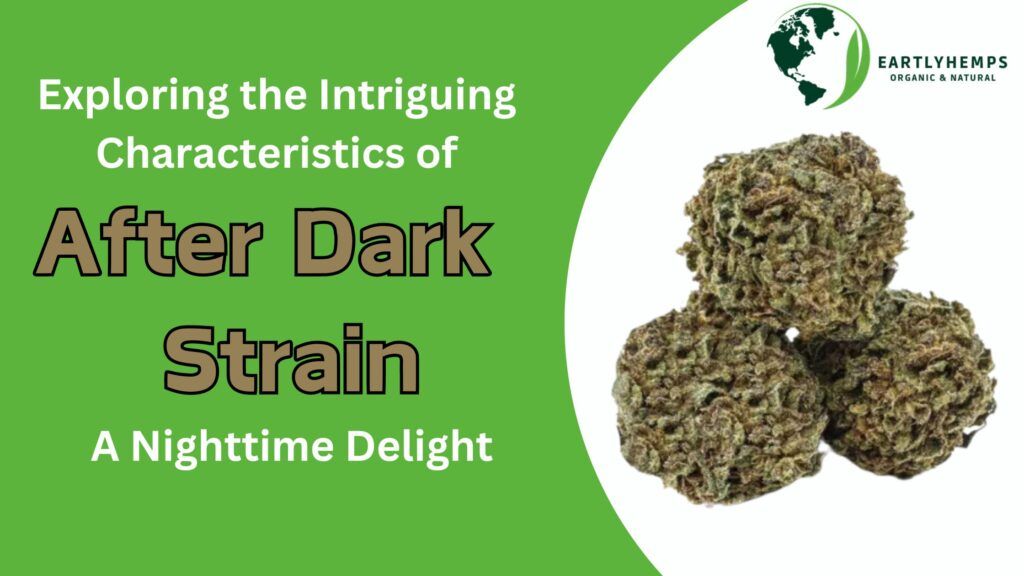After Dark Strain: A Nighttime Delight’s Intriguing Characteristics