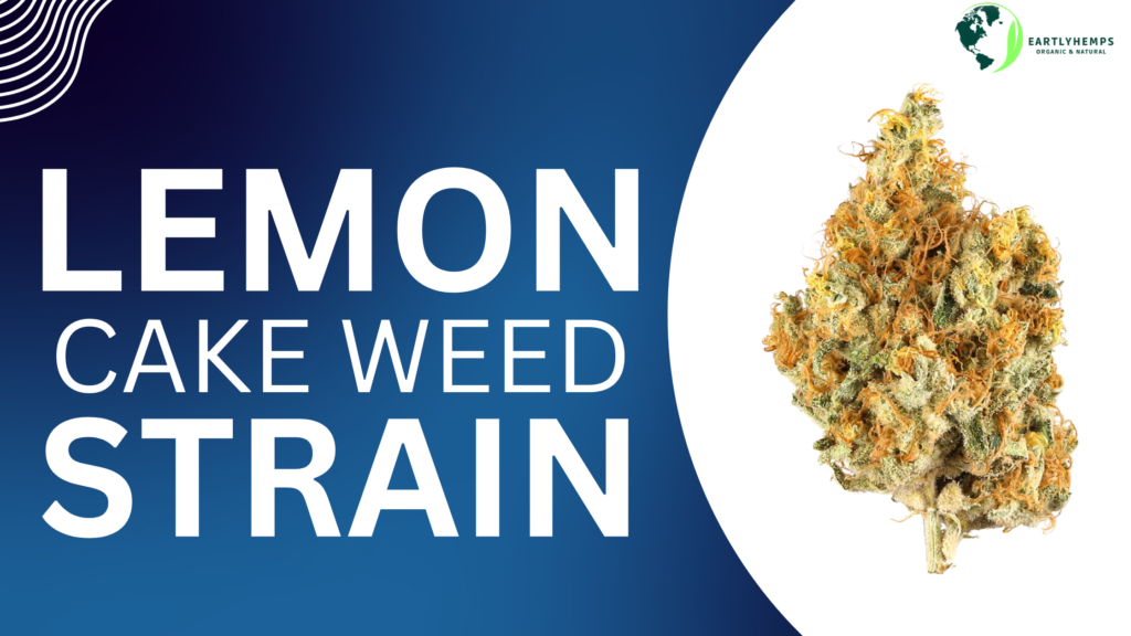 How to Find the Best Lemon Cake Weed Strain Online – Earthly Hemps