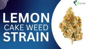 Read more about the article How to Find the Best Lemon Cake Weed Strain Online – Earthly Hemps